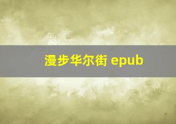 漫步华尔街 epub